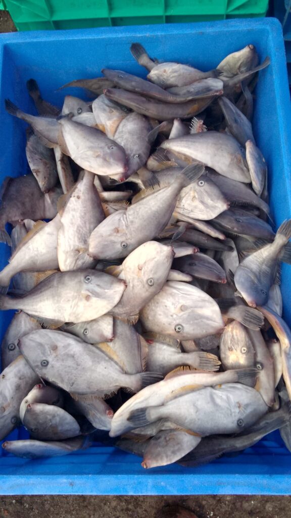 whatsapp image 2025 11 24 at 11.13.34 am