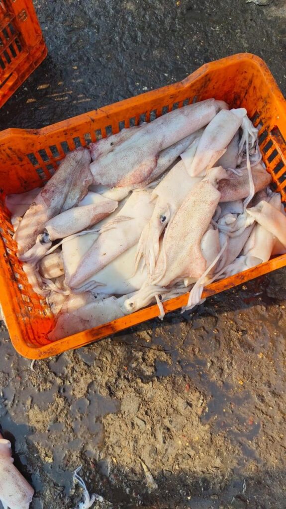 whatsapp image 2025 11 24 at 11.34.52 am